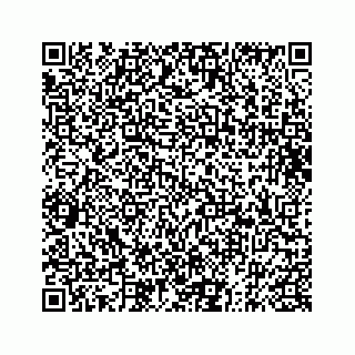 vCard 73832276400