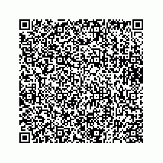 vCard 73832278713