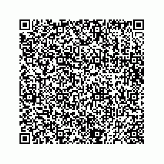 vCard 73832278719