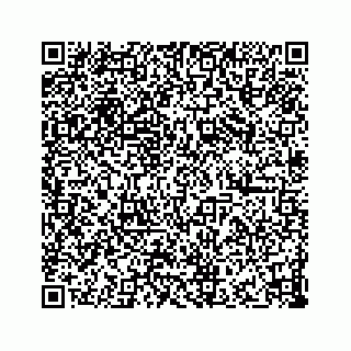vCard 73832278729