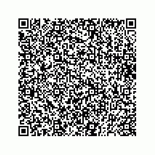 vCard 73832278740