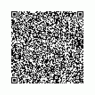 vCard 73832278741