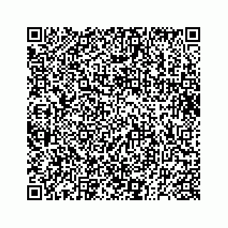 vCard 73832278751