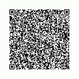 vCard 73832278778