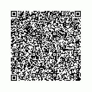 vCard 73832278784