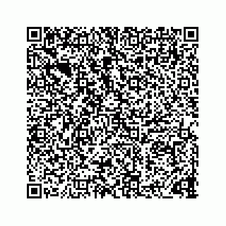 vCard 73832278799