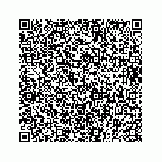 vCard 73832278810