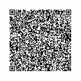vCard 73832278811