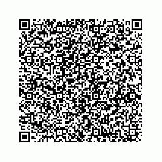 vCard 73832278838