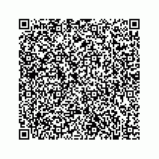 vCard 73832278848