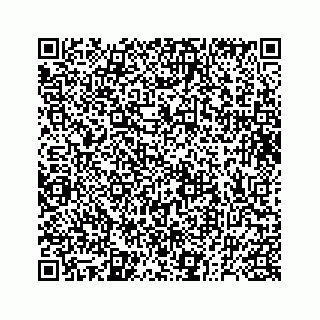 vCard 73832278871