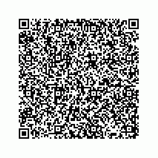 vCard 73832278875