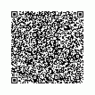 vCard 73832278895