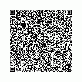 vCard 73832278900