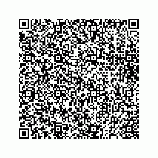 vCard 73832278909