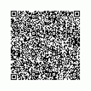 vCard 73832279251