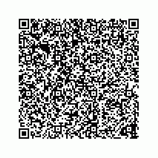 vCard 73832299929