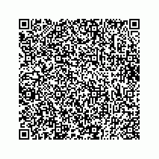 vCard 73832330331