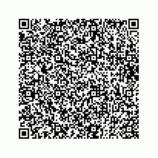 vCard 73832330900