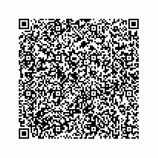 vCard 73832334135