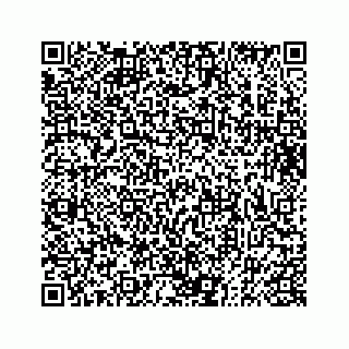 vCard 73832334136