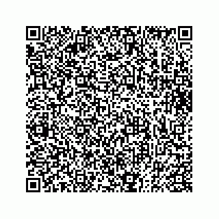 vCard 73832334137