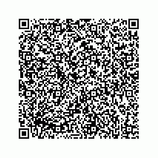 vCard 73832334138