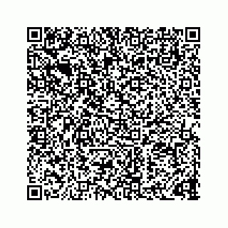 vCard 73832334139
