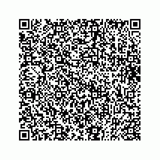 vCard 73832334140