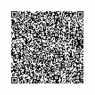 vCard 73832334141
