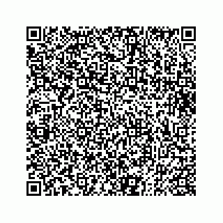 vCard 73832334405