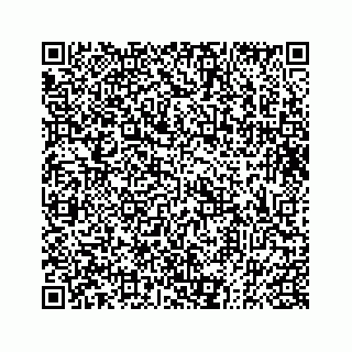vCard 73832334409
