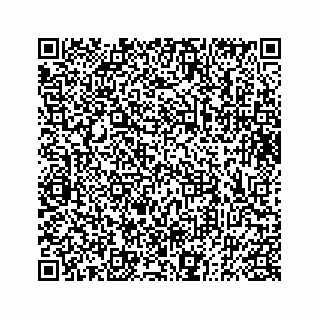 vCard 73832334667