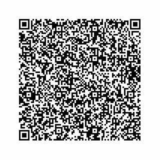 vCard 73832334685
