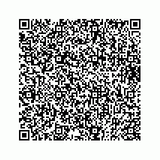 vCard 73832334687