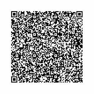 vCard 73832334690