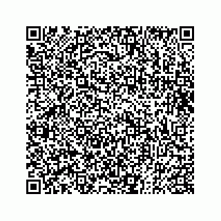 vCard 73832334718