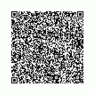 vCard 73832334739