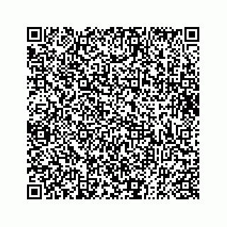 vCard 73832334831