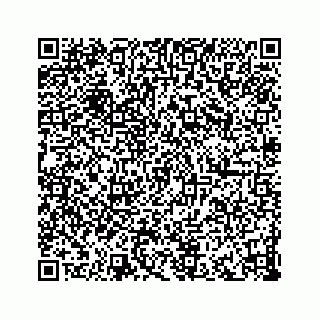vCard 73832336133