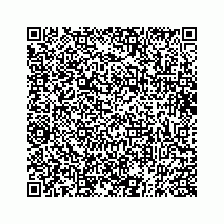vCard 73832336210