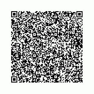 vCard 73832336211