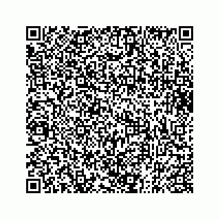 vCard 73832336413