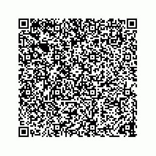 vCard 73832336534