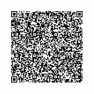 vCard 73832336541