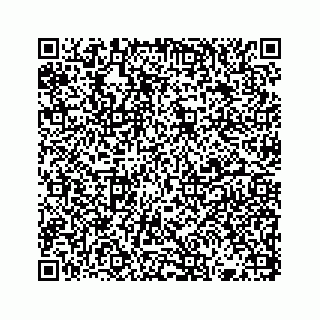 vCard 73832336548