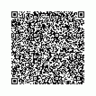 vCard 73832337135