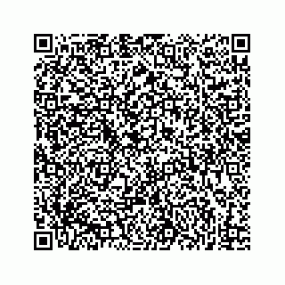 vCard 73832337138