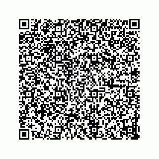 vCard 73832337139