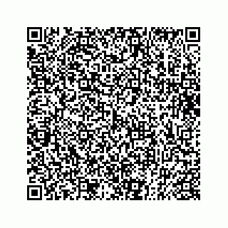 vCard 73832337140